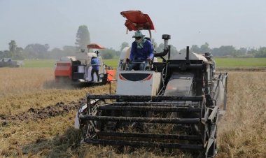 เน้นใช้ประโยชน์วัสดุเหลือใช้การเกษตรรับมือการเผา ลดฝุ่นละออง PM2.5