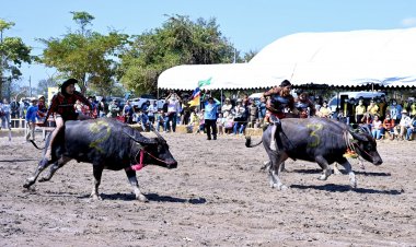 กรมปศุสัตว์ จัด “งานวันอนุรักษ์และพัฒนากระบือปลักไทย