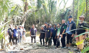 ยางพาราทะลักชายแดน สกัดตรวจยึดของกลางเกือบ 2 พันกก.