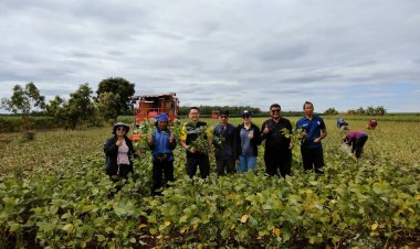 พลิกผืนดินสู่พืชมูลค่าสูงปลูก "ถั่วแระญี่ปุ่น"สร้างรายได้ยั่งยืนช่วงหน้าแล้ง