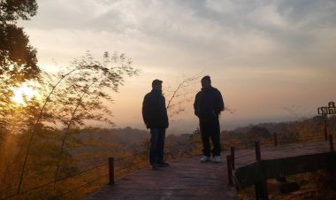 นทท.แห่ปักหลักนอนกางเต็นท์บนภูสิงห์โต้ลมหนาวรอชมพระอาทิตย์ขึ้นยามเช้า