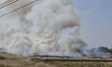 ชาวนาจุดไฟเผาหญ้าข้างทางควันปกคลุมถนนมิตรภาพผู้ใช้รถใช้ถนนเดือดร้อนหนัก