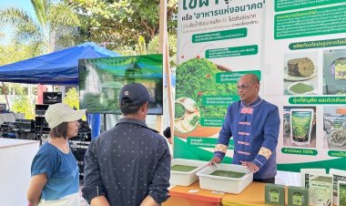 ยกระดับเพาะเลี้ยง "ไข่ผำ" อาหารแห่งอนาคต ด้วยมาตรฐาน GAP