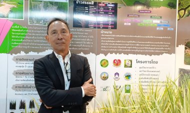 “นักวิชการ” ชี้ข้าวสรรพสี01 มีคุณค่าโปรตีนสูง-แปรรูปอาหารเพียบ