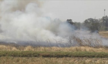 เกษตรกรโคราชฝ่าฝืนกม.ลักลอบจุดไฟเผาตอซังข้าว-หญ้าริมถนนก่อมลพิษพุ่ง