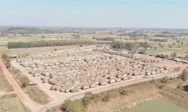 ชาวไร่อุดรฯสุดช้ำปิดโรงงานน้ำตาลกระทบ "อ้อย" ตกค้าง 2 พันคัน