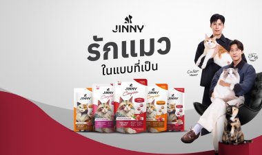 JINNY ดึง ‘จอง-คัลแลน’ เข้าด้อมเจ้าเหมียว ตอบโจทย์แนวคิด 'รักแมวในแบบที่เป็น' เข้าใจทุกความแตกต่าง