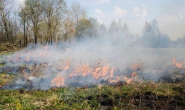 คุมเข้ม ห้ามมีการเผาในเขตพื้นที่นิคมฯ ฝ่าฝืนตัดสิทธิ์มาตรการช่วยเหลือทันที