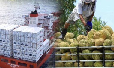 แก้ปัญหาส่งออกทุเรียนไปจีน ย้ำฝ่าฝืนใช้สาร Basic Yellow ลงโทษขั้นเด็ดขาด