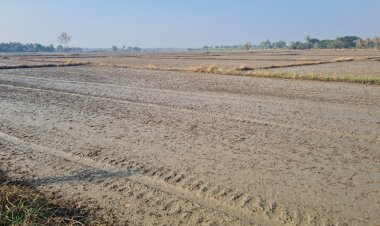 เกษตรกรเมืองโคราชไม่สนคำเตือนงดทำนาเดินหน้าสูบน้ำทำนาปรังหลายร้อยไร่