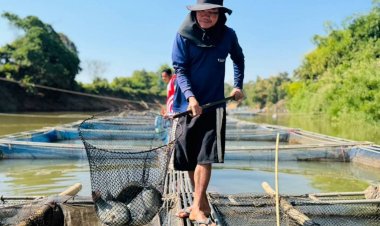 "ปลานิล-ปลาทับทิม" ลำน้ำพองขึ้นห้าง เกษตรกรยิ้ม ชูคาวน้อย-บริหารจัดการดี