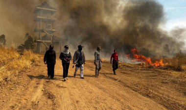 ชิงเผาป่า!พื้นที่ผาเม่นอช.ทับลาน แก้ปัญหาช้างป่าออกหากินนอกพื้นที่