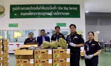กระทรวงเกษตรฯสั่งทุกด่านตรวจเข้มชิปเมนต์ ก่อนอนุญาตส่งออกทุเรียนไปจีน
