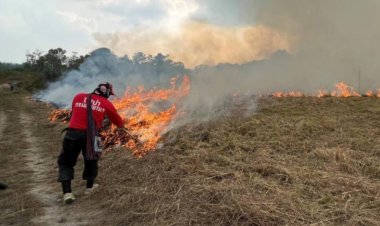 รัฐบาลสั่งคุมเข้ม ปัญหาฝุ่น PM 2.5 จากภาคเกษตร ฝ่าฝืนตัดสิทธิ์การช่วยเหลือ
