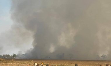 โคราชอ่วม!ลักลอบเผาพื้นที่การเกษตรไม่หยุดฝุ่น PM 2.5 พุ่งเกินมาตรฐาน