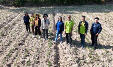 กองทุน FTA เดินหน้าผลักดันการผลิตข้าวสู่มาตรฐานสากล ยกข้าวไทยสู้เวทีโลก