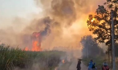 ไม่เกรงกลัวกม.เกษตรกรลอบเผาไร่อ้อยเพลิงโหมไหม้อย่างหนัก