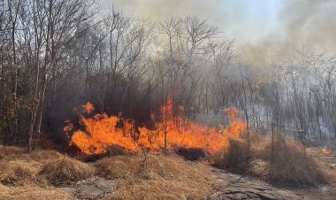 อากาศแห้งลมแรงไฟป่าเผาอุทยานภูสิงห์-ภูผาผึ้ง วอดแล้วกว่า100 ไร่