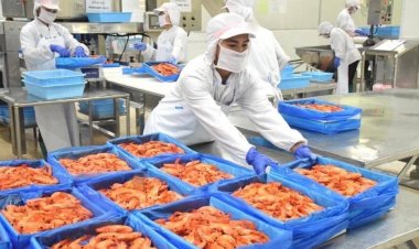 ส่งออกกุ้งทะเลแช่แข็งผ่านรถไฟจีน-ลาว ล็อตแรกผ่านฉลุย