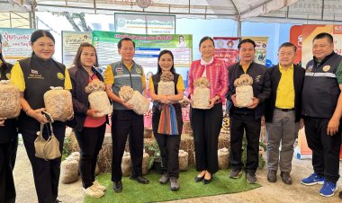 “ฟางข้าว”วัสดุจากท้องทุ่งนา สู่วัตถุดิบชั้นเลิศ สร้างงาน สร้างเงิน สร้างรายได้