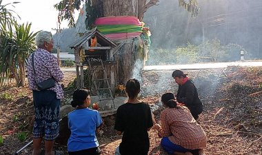 คอหวยแห่กราบไหว้ขอโชคลาภเสด็จแม่นางไม้พวงทองที่ต้นเสลา