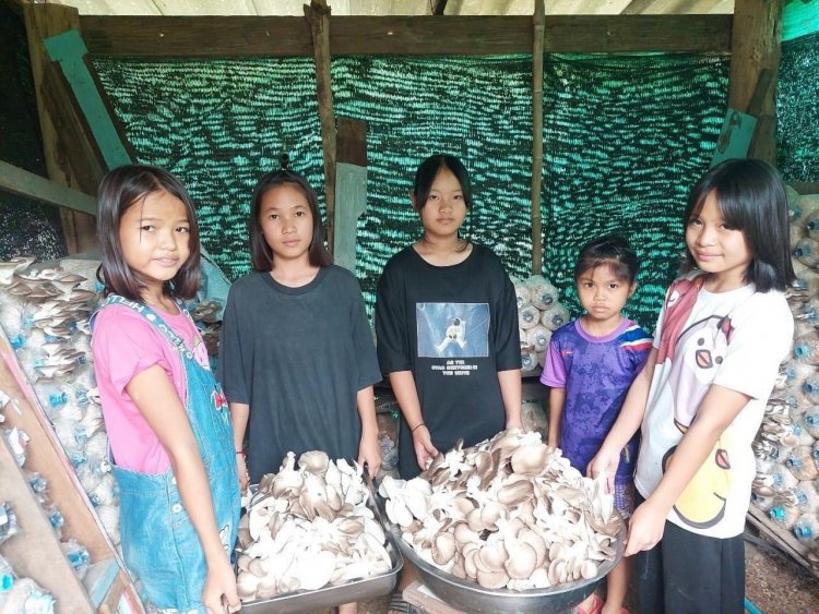ถ่ายทอดเทคโนโลยีผลิตเห็ดแบบ Low Carbon สร้างรายได้หลักแสนบาทต่อปี