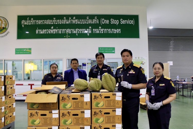 กระทรวงเกษตรฯสั่งทุกด่านตรวจเข้มชิปเมนต์ ก่อนอนุญาตส่งออกทุเรียนไปจีน