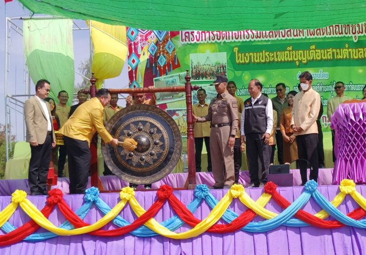อบต.ทุ่งไชยจัดใหญ่เทศกาลงานบุญเดือนสาม สืบสานประเพณี"ปลาช่อนรสดี ข้าวจี่รสเด็ด ตำบลทุ่งไชย"