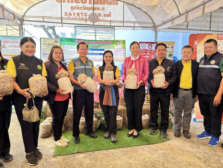 “ฟางข้าว”วัสดุจากท้องทุ่งนา สู่วัตถุดิบชั้นเลิศ สร้างงาน สร้างเงิน สร้างรายได้