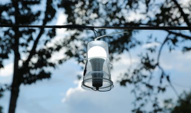 เตือนเกษตร เฝ้าระวังการระบาดของหนอนเจาะเมล็ดทุเรียน