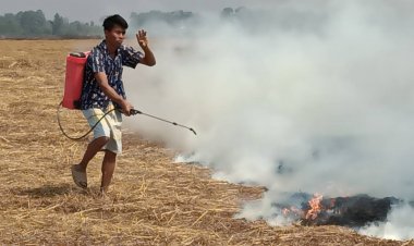ระทึก!มือมืดลอบเผาตอซังข้าว ชาวบ้านต้องระดมกำลังดับไฟไหม้ลามทุ่งนาจ้าละหวั่น