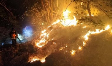 เจ้าหน้าที่ระดมกำลังดับไฟป่าห้วยลังกาเพชรบูรณ์ดับสนิทแล้ววอดกว่า 180 ไร่