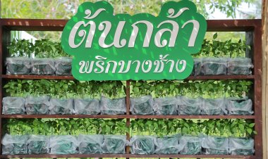 นิทรรศการด้านการเกษตรงานเฉลิมพระเกียรติฯ ณ อุทยาน ร.2 รับต้นพันธุ์พริกบางช้างฟรี!