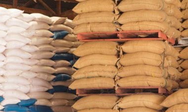 ส่งออกข้าวไทยปี '68 เจอศึกหนัก! ราคาตลาดโลกลดฮวบ  ออเดอร์สั่งซื้อล่วงหน้าถูกยกเลิก