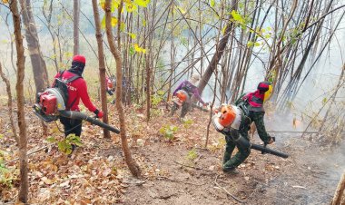 ผู้ว่าฯน่าน เตรียมใช้มาตรการ “ปิดพื้นที่ป่า” ป้องกันชาวบ้านลอบเผา  หาของป่า ล่าสัตว์