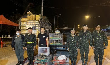 ทหารราชมนู –ตำรวจแม่สอด ช่วยเหลือ นกแก้ว เต่า งู ก่อนถูกส่งข้ามแดน