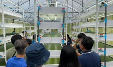 “จันทร์เรืองฟาร์ม (JR Farm)” ศูนย์บ่มเพาะเกษตรกรรุ่นใหม่เมืองขลุงต่อยอดผู้ประกอบการเกษตรในอนาคต