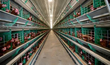 ชูศูนย์เรียนรู้  "ฟาร์มกลางอัจฉริยะ"ตอบโจทย์ "ตลาดนำ นวัตกรรมเสริม เพิ่มรายได้"