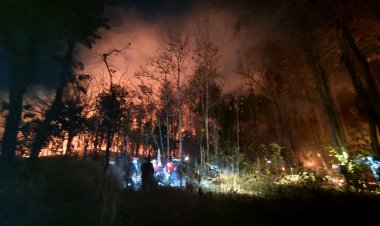 ไฟป่าลุกไหม้เขาคอกช้างทับลานโคราช เสียหายแล้วกว่า 200 ไร่