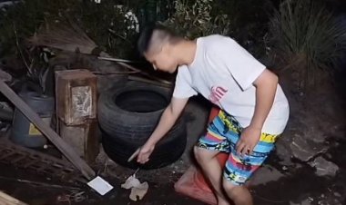 หนุ่มนั่งสังสรรค์บ้านเพื่อน จู่ๆจิ้งจกหางขาดขี่หลังคางคก เชื่อมาให้โชค