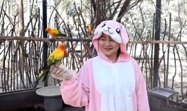 สวนสัตว์ขอนแก่น สร้างรังรักให้นกแก้วซันคอนัวร์  เพื่อเพาะขยายพันธุ์