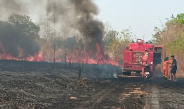 เร่งติดตามมือจุดไฟไหม้ป่าข้างบ้าน-โรงงานก่อมลพิษคลุ้งท้องฟ้า
