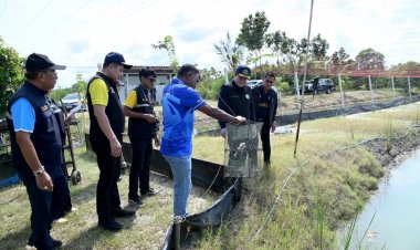 กระทรวงเกษตรฯหนุนเลี้ยงปูทะเลบ่อเลี้ยงกุ้งทิ้งร้างเพิ่มรายได้ให้กับเกษตรกร