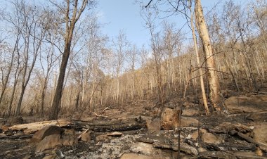 ฝนแรกของปี ช่วยดับไฟป่าเขาคอกช้าง อช.ทับลาน มอดสนิทแล้ว