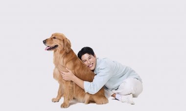 JerHigh-Jinny ทุกมื้อคือความรัก ดัน 'พี่จอง-คัลแลน' นั่งแท่นพรีเซ็นเตอร์ 2 ปีซ้อน ขยายความสำเร็จสู่แบรนด์อาหารสัตว์เลี้ยงชั้นนำ