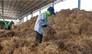 หนุนใช้เทคโนโลยีและนวัตกรรมจัดการวัสดุเหลือใช้แก้ปัญหาการก่อฝุ่น PM 2.5