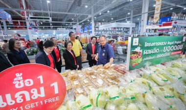 "โก โฮลเซลล์" หนุนผลผลิตยอดดอย-สินค้าชาวเขา สู่ผู้ประกอบการ