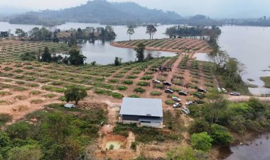 เตรียมรื้อสวนทุเรียน 100 ไร่นายทุนรุกพื้นที่อ่างเก็บน้ำห้วยแร้ง จ.ตราด