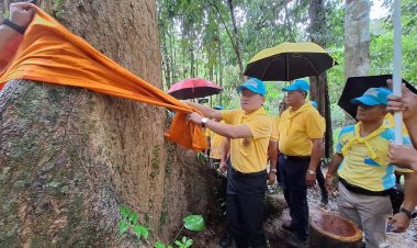 กระบี่รวมพลังจิตอาสาบำเพ็ญสาธารณประโยชน์-บวชต้นไม้อนุรักษ์ทรัพยากรธรรมชาติ