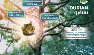 “กรมวิชาการเกษตร” เปิดตัว “AI Chatbot” ตัวช่วยอัจฉริยะพลิกโฉมการเกษตรไทย